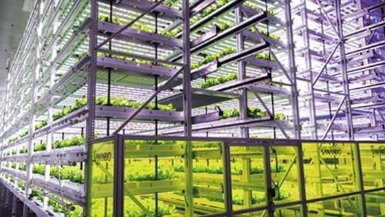 中國(guó)式現(xiàn)代化之路 生物技術(shù)開(kāi)發(fā)服務(wù)的崛起與前景